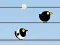 Gone with the Birds — безкоштовна онлайн гра