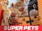 DC League of Super Pets Jigsaw Puzzle — безкоштовна онлайн гра