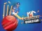 Cricket World Cup Game — безкоштовна онлайн гра