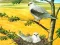 Birds Of Prey Puzzle — безкоштовна онлайн гра