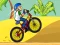 BMX Boy Online — безкоштовна онлайн гра