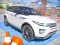 Drive Car Parking — безкоштовна онлайн гра