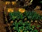 Pixel Farm — безкоштовна онлайн гра
