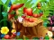 Hidden Objects Insects — безкоштовна онлайн гра