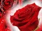 Red Roses — безкоштовна онлайн гра