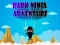 Dark Ninja Adventure — безкоштовна онлайн гра