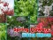 Spring Flowers: Hidden Objects — безкоштовна онлайн гра
