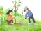 Arbor Day Puzzle — безкоштовна онлайн гра