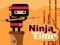 Ninja Time — безкоштовна онлайн гра