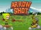 Arrow Shoot — безкоштовна онлайн гра