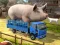 Driver Master Simulator — безкоштовна онлайн гра