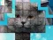 PicPu Cat — безкоштовна онлайн гра