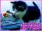 Six Little Kittens — безкоштовна онлайн гра