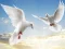 Flying Birds — безкоштовна онлайн гра