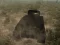 Tank Battle — безкоштовна онлайн гра