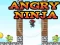 Angry Ninja — безкоштовна онлайн гра