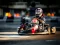 Kart Karting — безкоштовна онлайн гра
