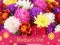 2019 Mother's Day Puzzle — безкоштовна онлайн гра