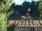 Bike Trial Xtreme Forest — безкоштовна онлайн гра