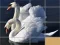 Animals Slide Puzzle — безкоштовна онлайн гра