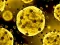 Coronavirus Slide — безкоштовна онлайн гра