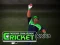 Cricket Fielder Challenge — безкоштовна онлайн гра