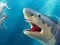 Shark Hunting — безкоштовна онлайн гра