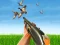 Bird Hunting — безкоштовна онлайн гра