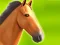 Horse Run 3D — безкоштовна онлайн гра