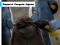 Emperor Penguin Jigsaw — безкоштовна онлайн гра