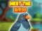 Meet The Birds — безкоштовна онлайн гра