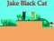 Jake Black Cat — безкоштовна онлайн гра