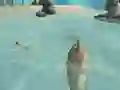 Shark Simulator Beach Killer — безкоштовна онлайн гра