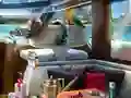 Caribbean Crime — безкоштовна онлайн гра