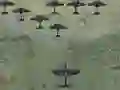 Wings Of Glory — безкоштовна онлайн гра