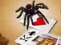 Jumping Spider — безкоштовна онлайн гра