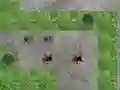 Spider Tower Defence — безкоштовна онлайн гра