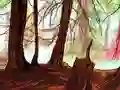 Hidden Stars — безкоштовна онлайн гра