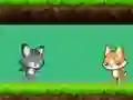 Cat vs Dog — безкоштовна онлайн гра
