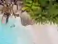 Seychelles Beach Jigsaw Puzzle — безкоштовна онлайн гра