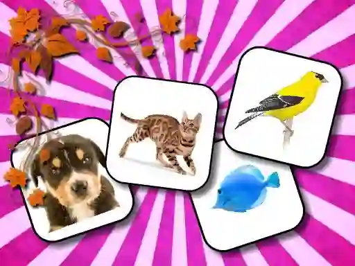 Animals Memory — безкоштовна онлайн гра