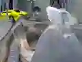Z Day Shootout — безкоштовна онлайн гра