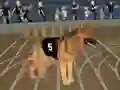 Crazy Dog Racing Fever — безкоштовна онлайн гра