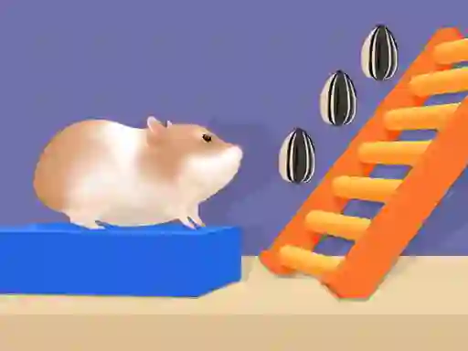 Hamster Stack Maze — безкоштовна онлайн гра