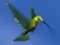 Hummingbird House Escape — безкоштовна онлайн гра