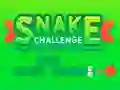 Snake Challenge — безкоштовна онлайн гра