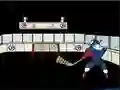 Capitaine Cage Hockey — безкоштовна онлайн гра