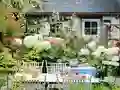 Flower Garden — безкоштовна онлайн гра
