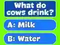 Trivia Best Family Quiz — безкоштовна онлайн гра