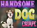 Handsome Dog Escape — безкоштовна онлайн гра